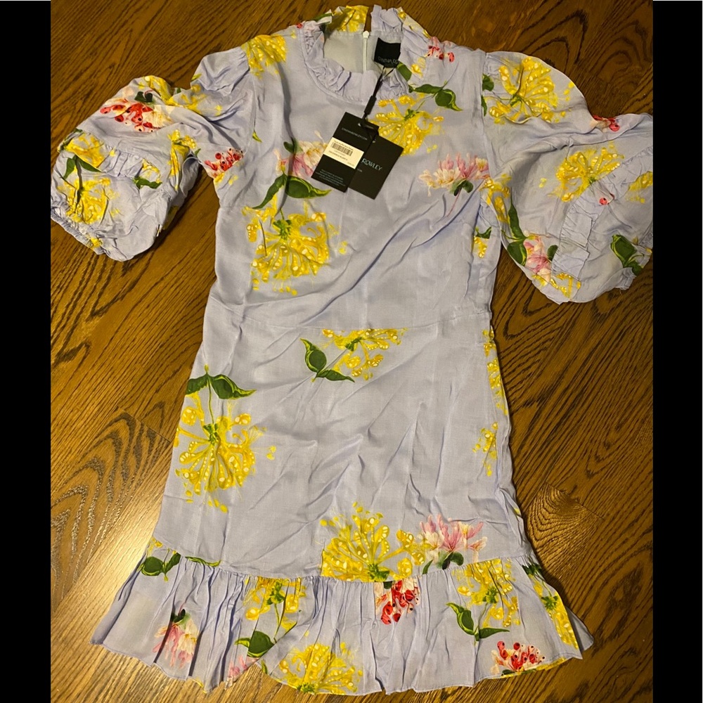 Stunning Cynthia Rowley Tayla ruffle mini dress
